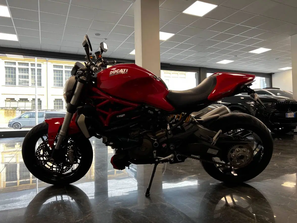 Ducati Monster 1200 (2014 - 16) (2)