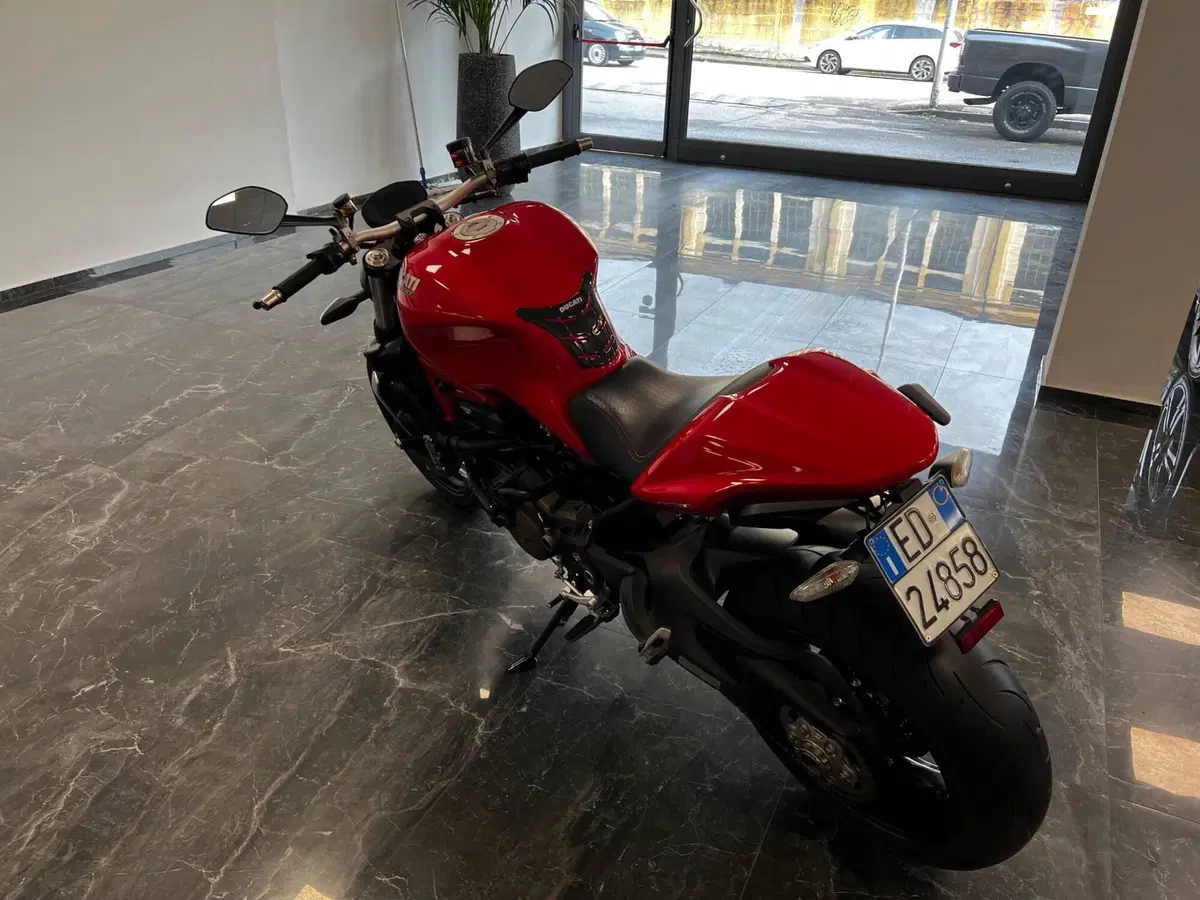 Ducati Monster 1200 (2014 - 16) (3)