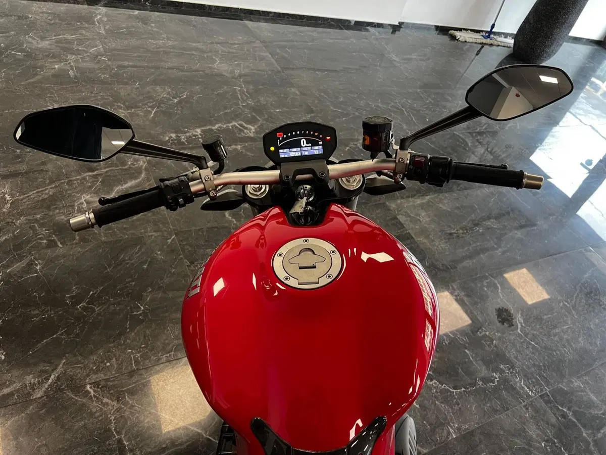Ducati Monster 1200 (2014 - 16) (9)