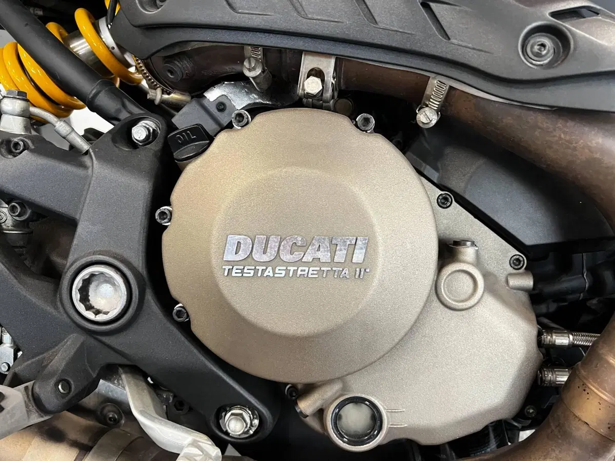 Ducati Monster 1200 (2014 - 16) (13)