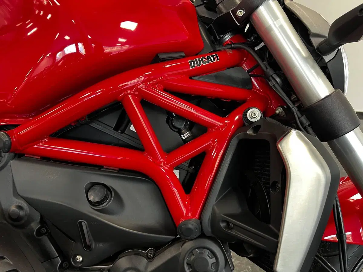 Ducati Monster 1200 (2014 - 16) (14)
