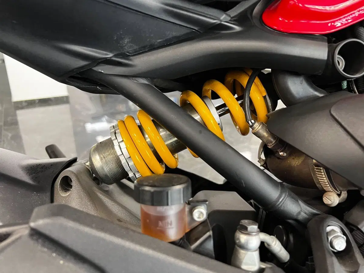 Ducati Monster 1200 (2014 - 16) (19)