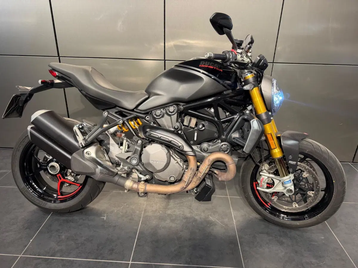 Ducati Monster 1200 S (2017 - 21) (15)