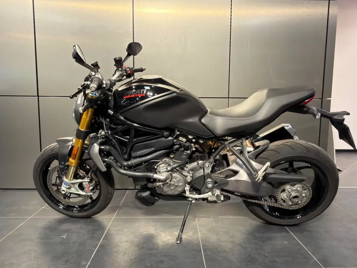 Ducati Monster 1200 S (2017 - 21) (16)