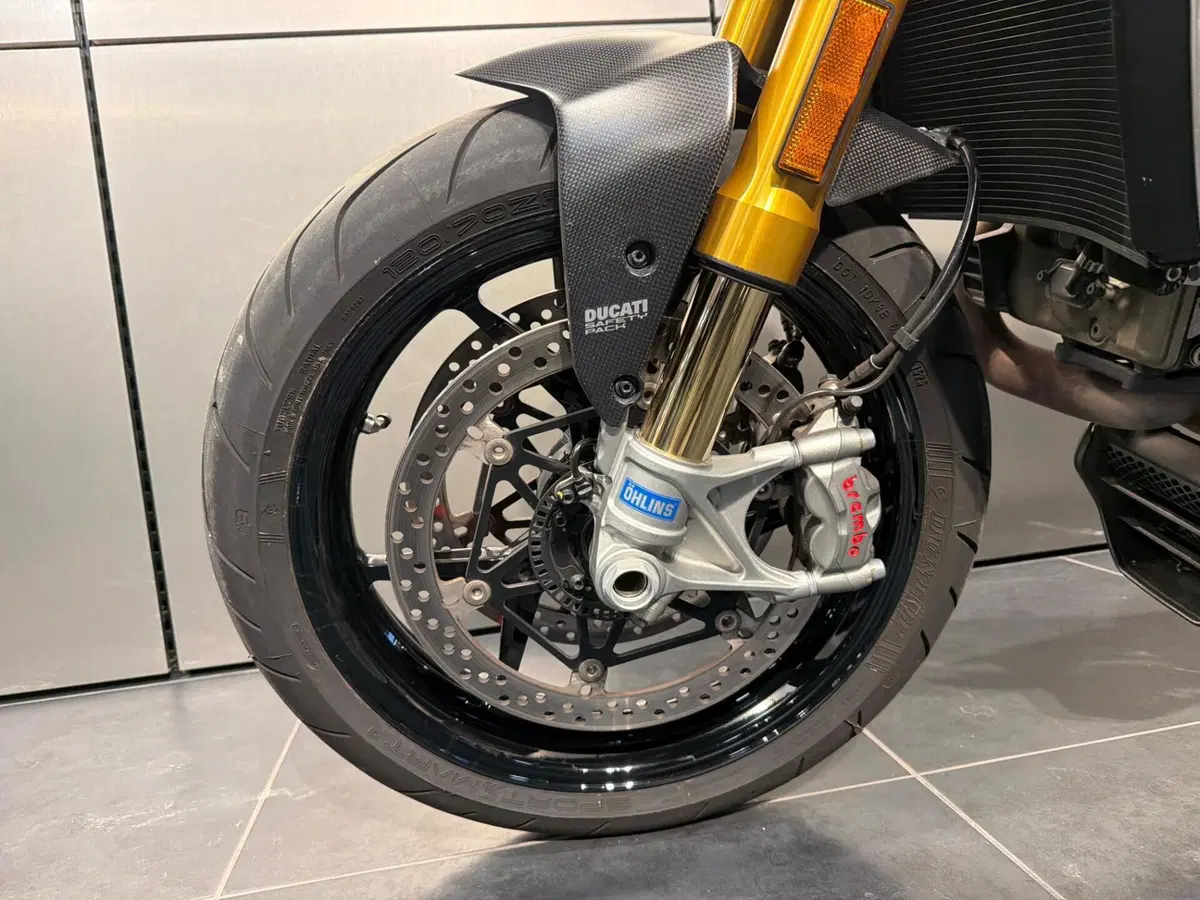 Ducati Monster 1200 S (2017 - 21) (20)