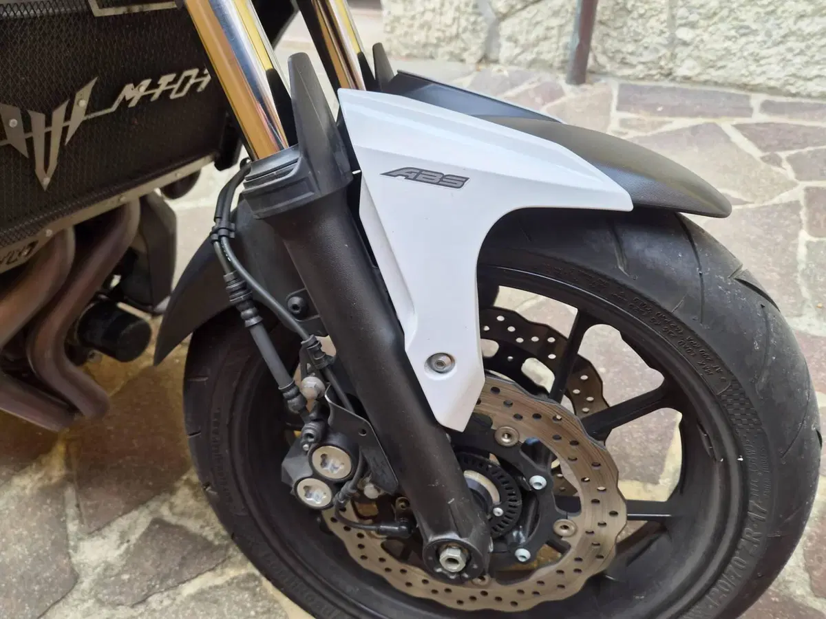 Yamaha MT-07 (2018 - 20) (2)