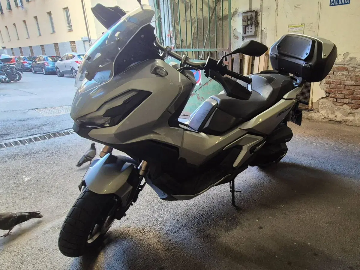 Honda ADV 350 (2022 - 24) (5)