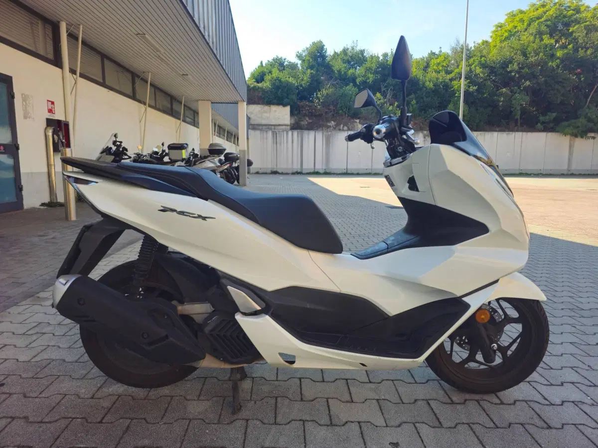 Honda PCX 125 (2021 - 24) (4)