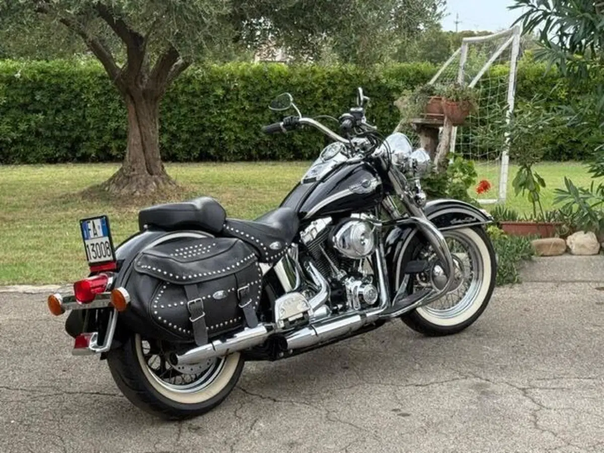 Harley-Davidson 1450 Heritage Classic (1999 - 02) - FLSTC (7)