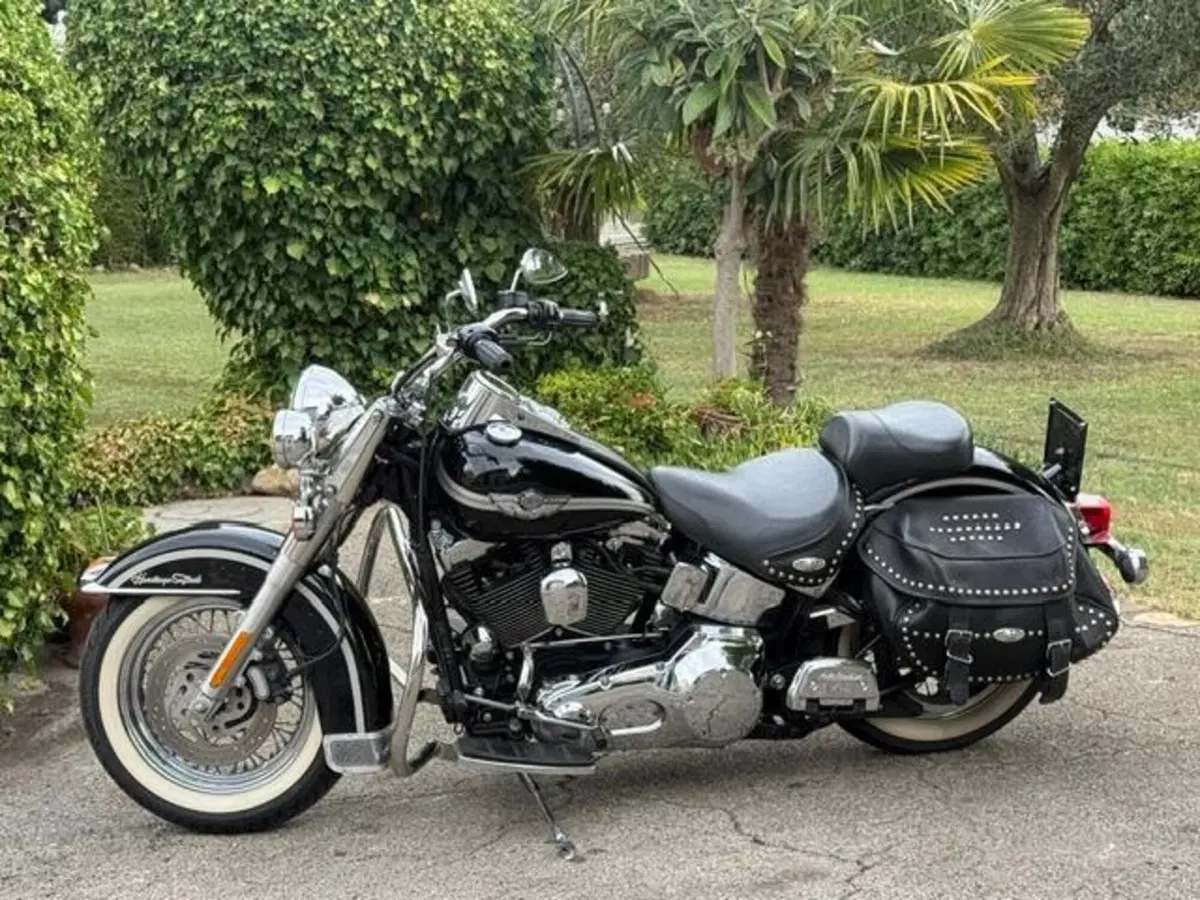 Harley-Davidson 1450 Heritage Classic (1999 - 02) - FLSTC (10)
