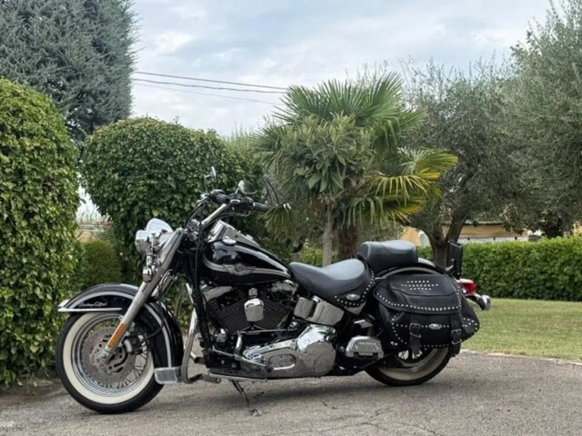 Harley-Davidson 1450 Heritage Classic (1999 - 02) - FLSTC (11)