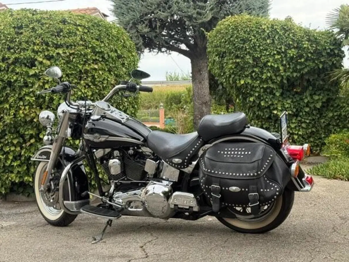 Harley-Davidson 1450 Heritage Classic (1999 - 02) - FLSTC (12)
