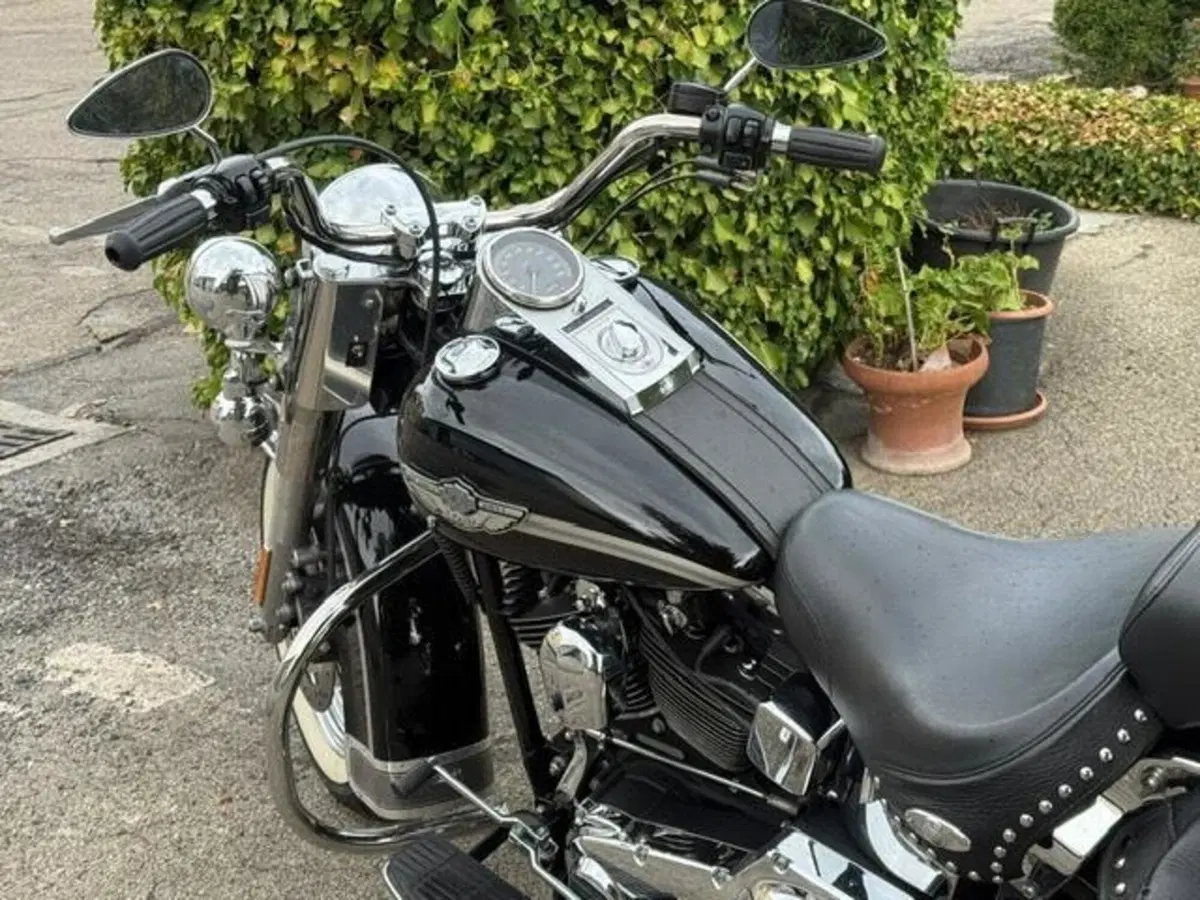 Harley-Davidson 1450 Heritage Classic (1999 - 02) - FLSTC (13)