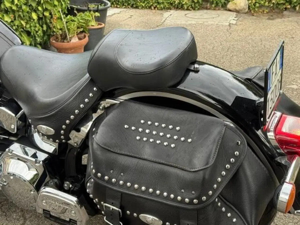Harley-Davidson 1450 Heritage Classic (1999 - 02) - FLSTC (14)