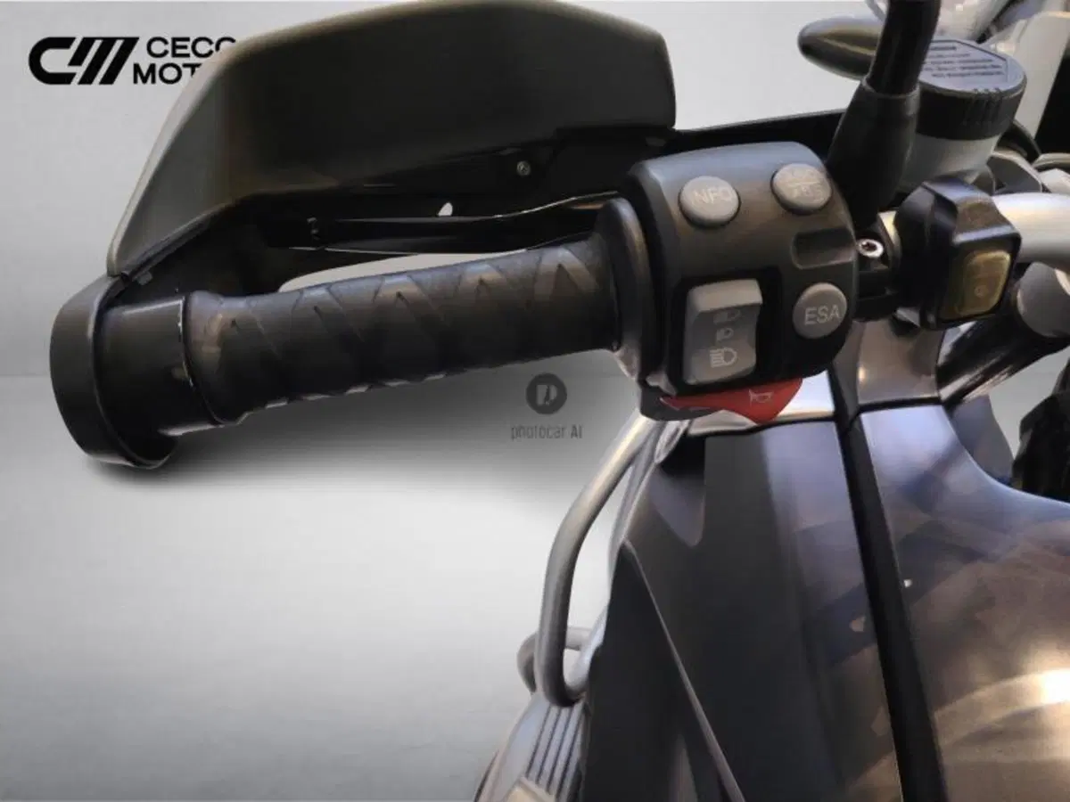 Bmw R 1200 GS (2008 - 09) (10)