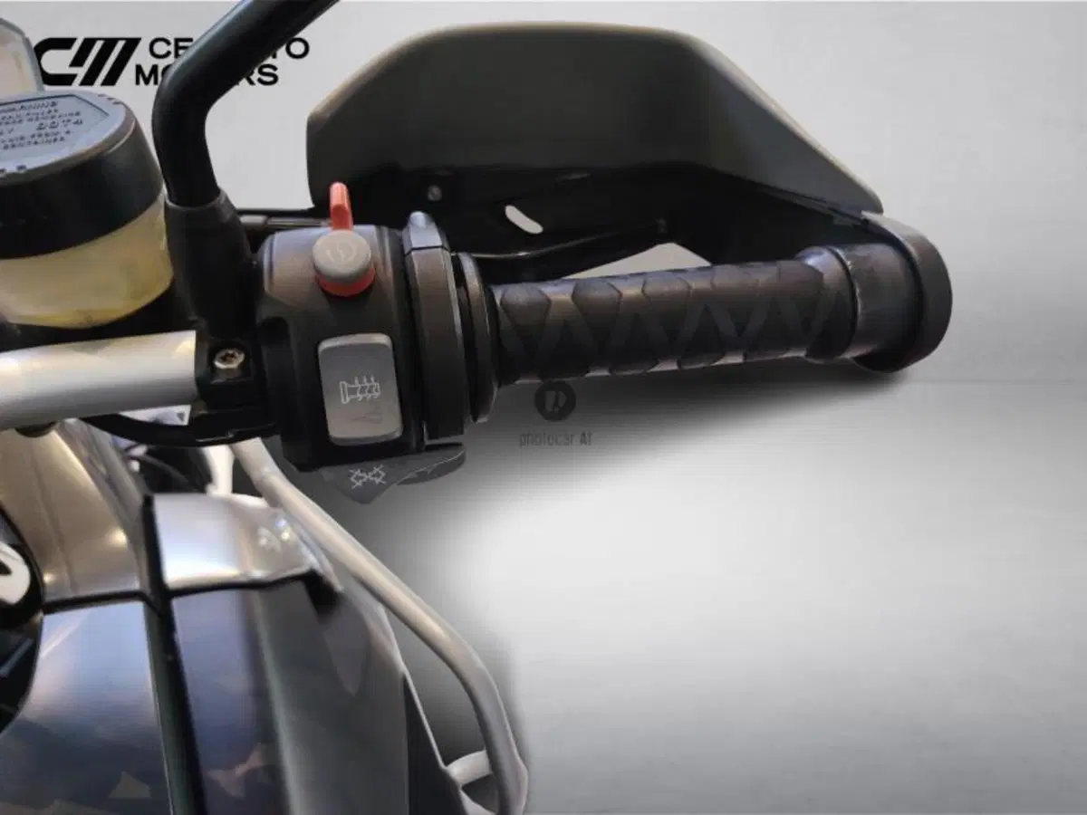 Bmw R 1200 GS (2008 - 09) (9)