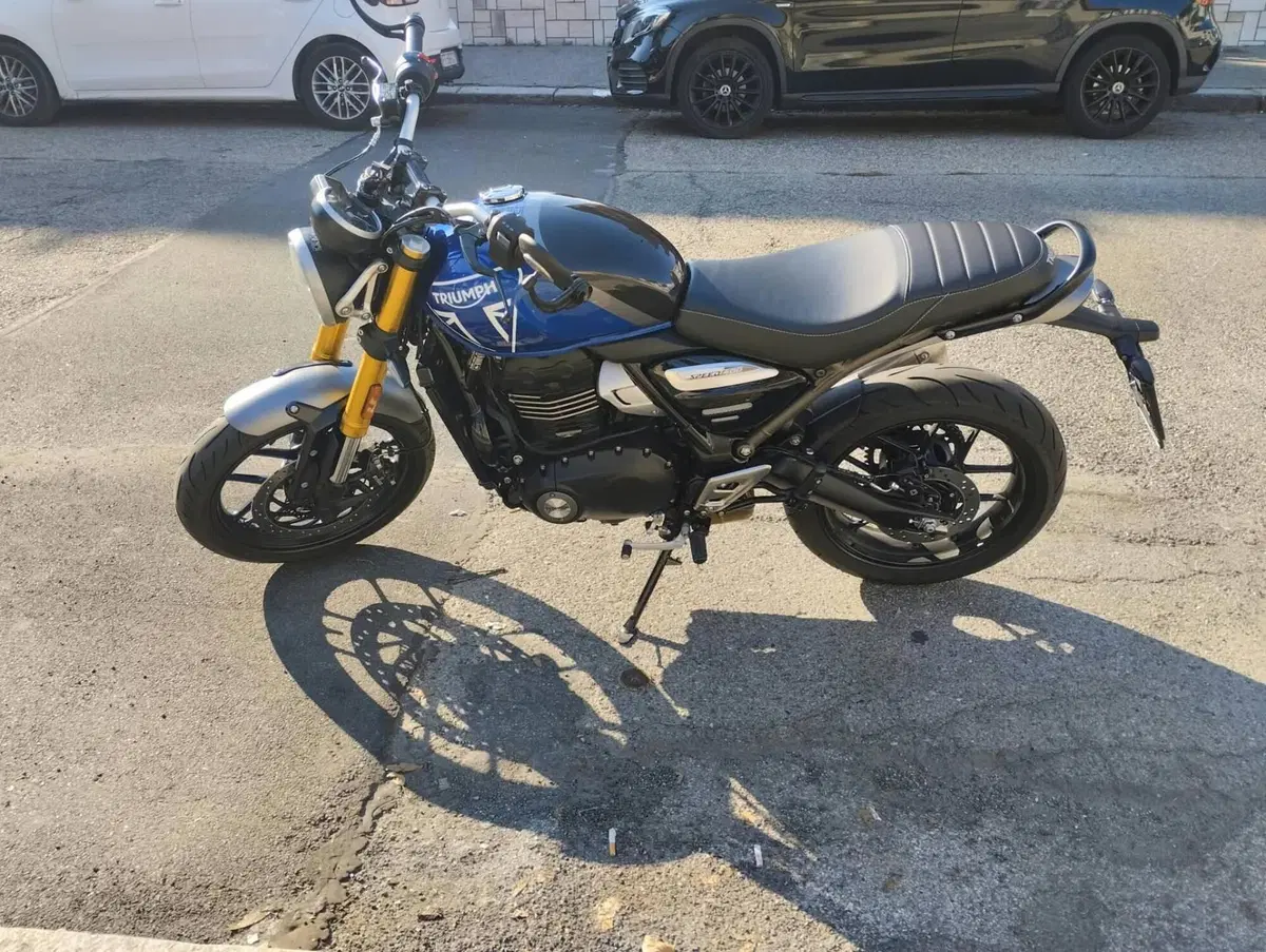 Triumph Speed 400 (2024 - 26) (3)