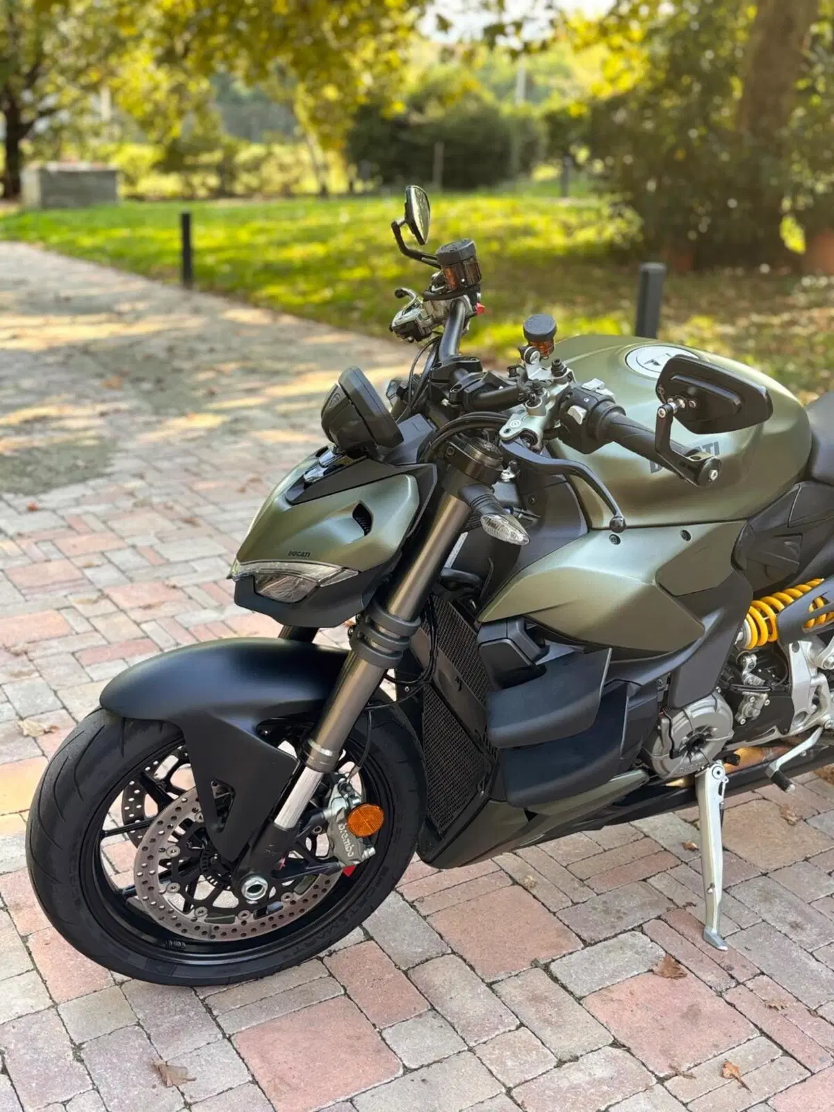 Ducati Streetfighter V2 955 Green (2022 - 23) (3)