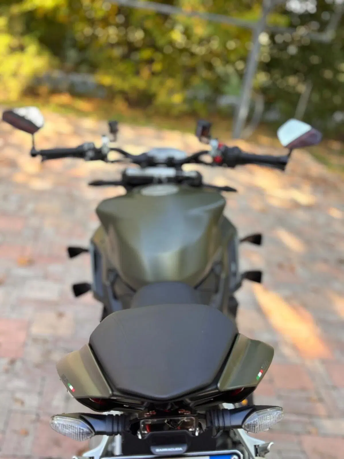 Ducati Streetfighter V2 955 Green (2022 - 23) (6)