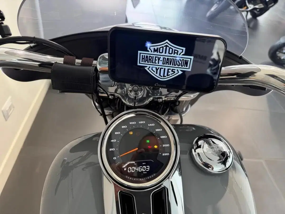 Harley-Davidson 107 Sport Glide (2018 - 20) (10)