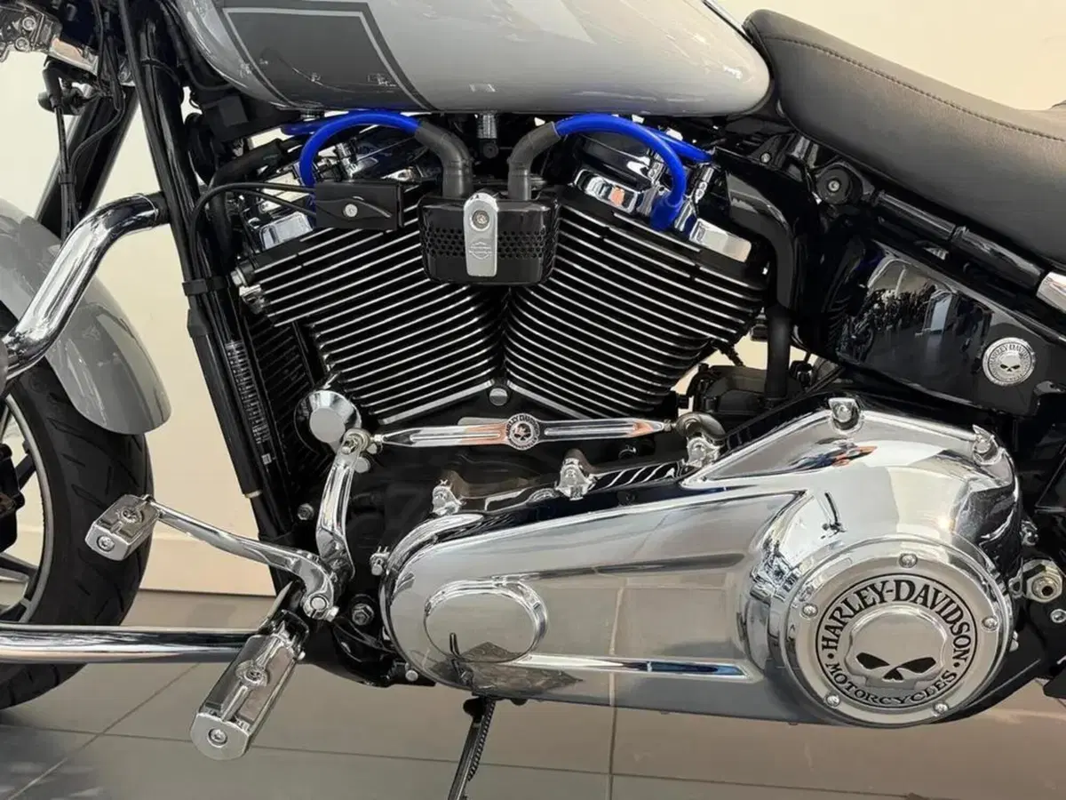 Harley-Davidson 107 Sport Glide (2018 - 20) (12)
