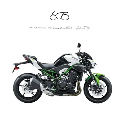 Kawasaki Z 900 A2 (2025 - 27) nuova