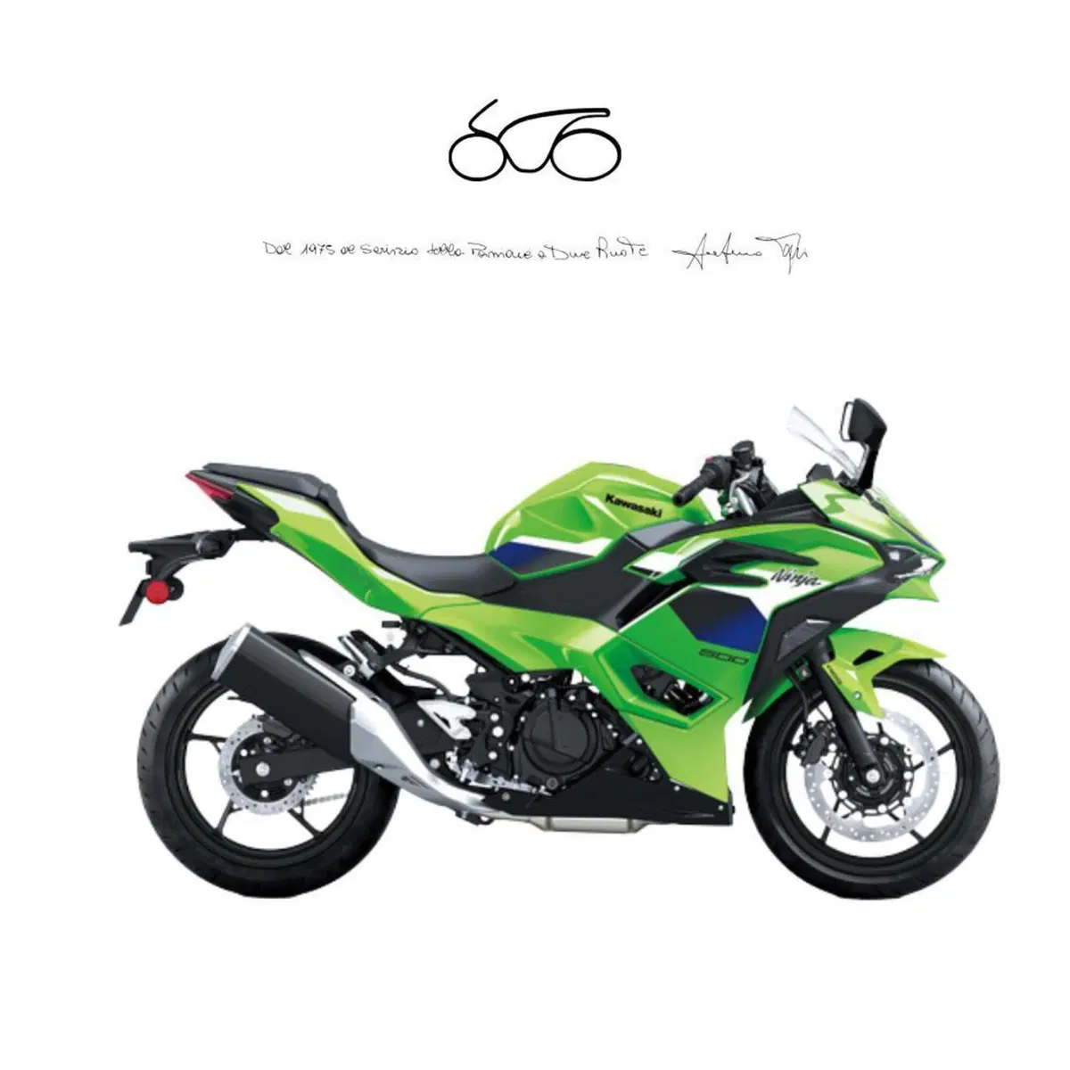 Kawasaki Ninja 500 SE (2024 - 27)