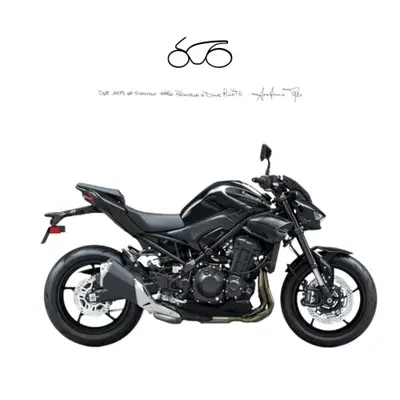 Kawasaki Z 900 (2025 - 27) nuova
