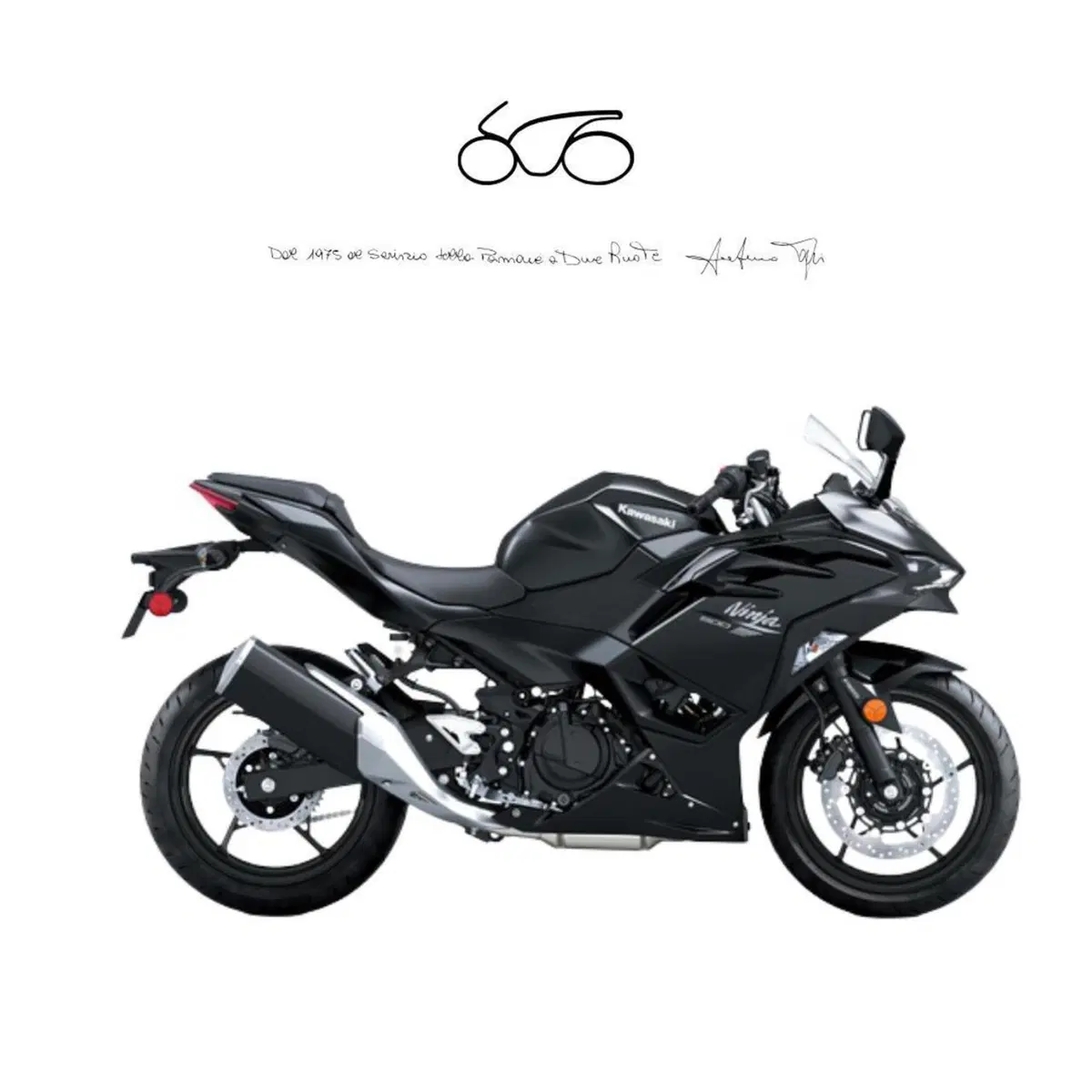 Kawasaki Ninja 500 (2024 - 27)