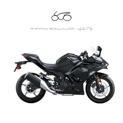 Kawasaki Ninja 500 (2024 - 27) nuova