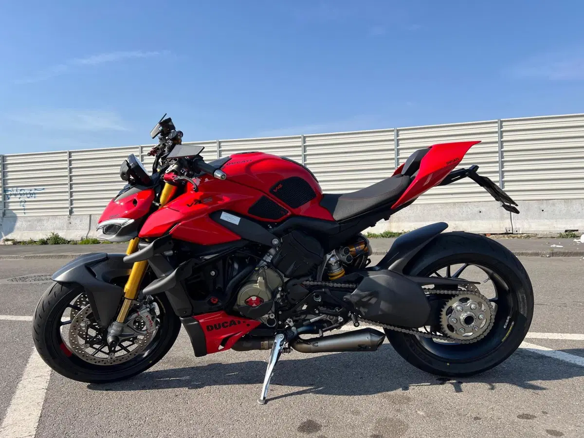 Ducati Streetfighter V4 S (2023 - 24) (7)