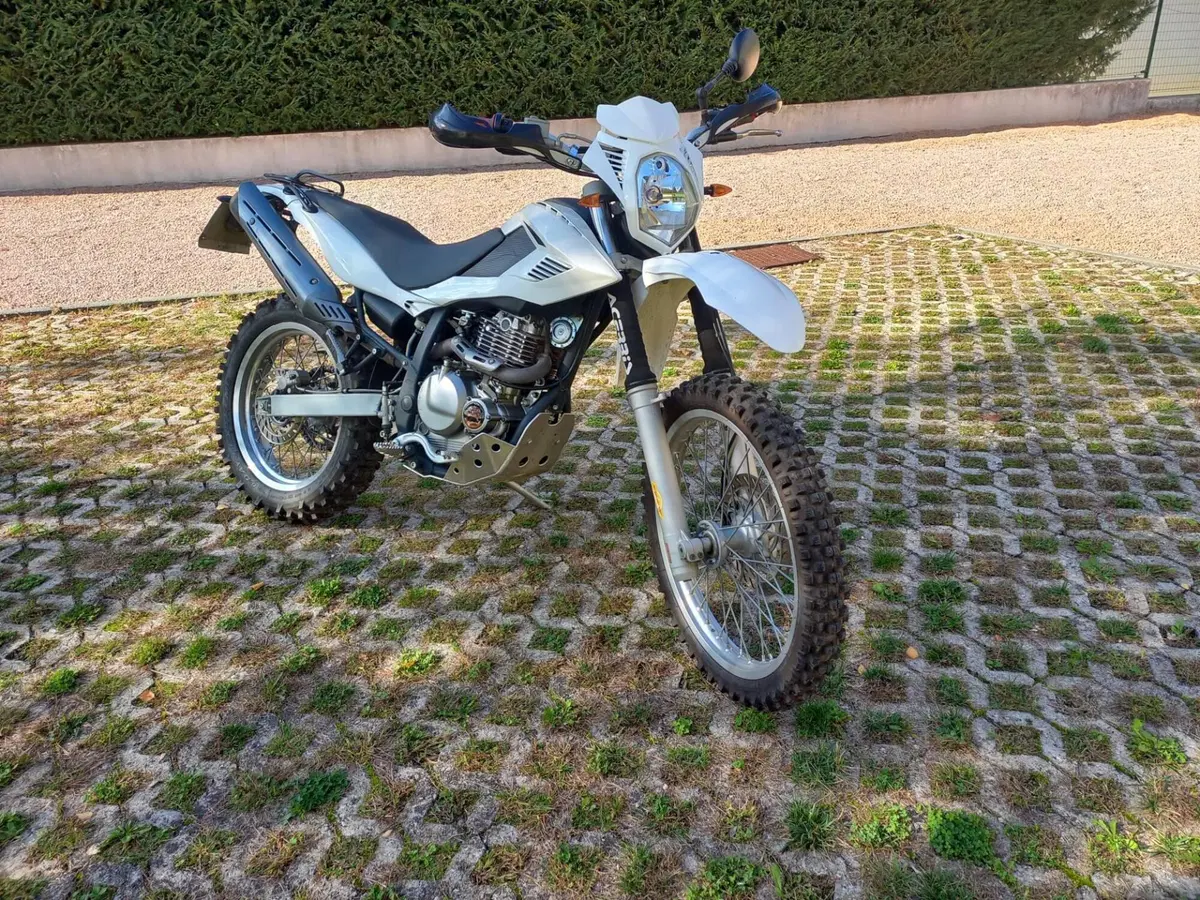 Betamotor Alp 4.0 (2008 - 17)