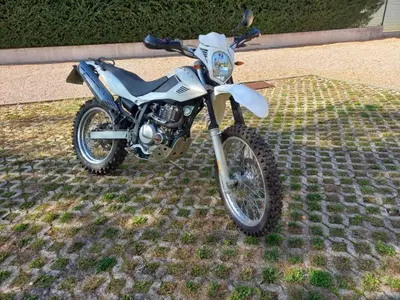Betamotor Alp 4.0 (2008 - 17) usata