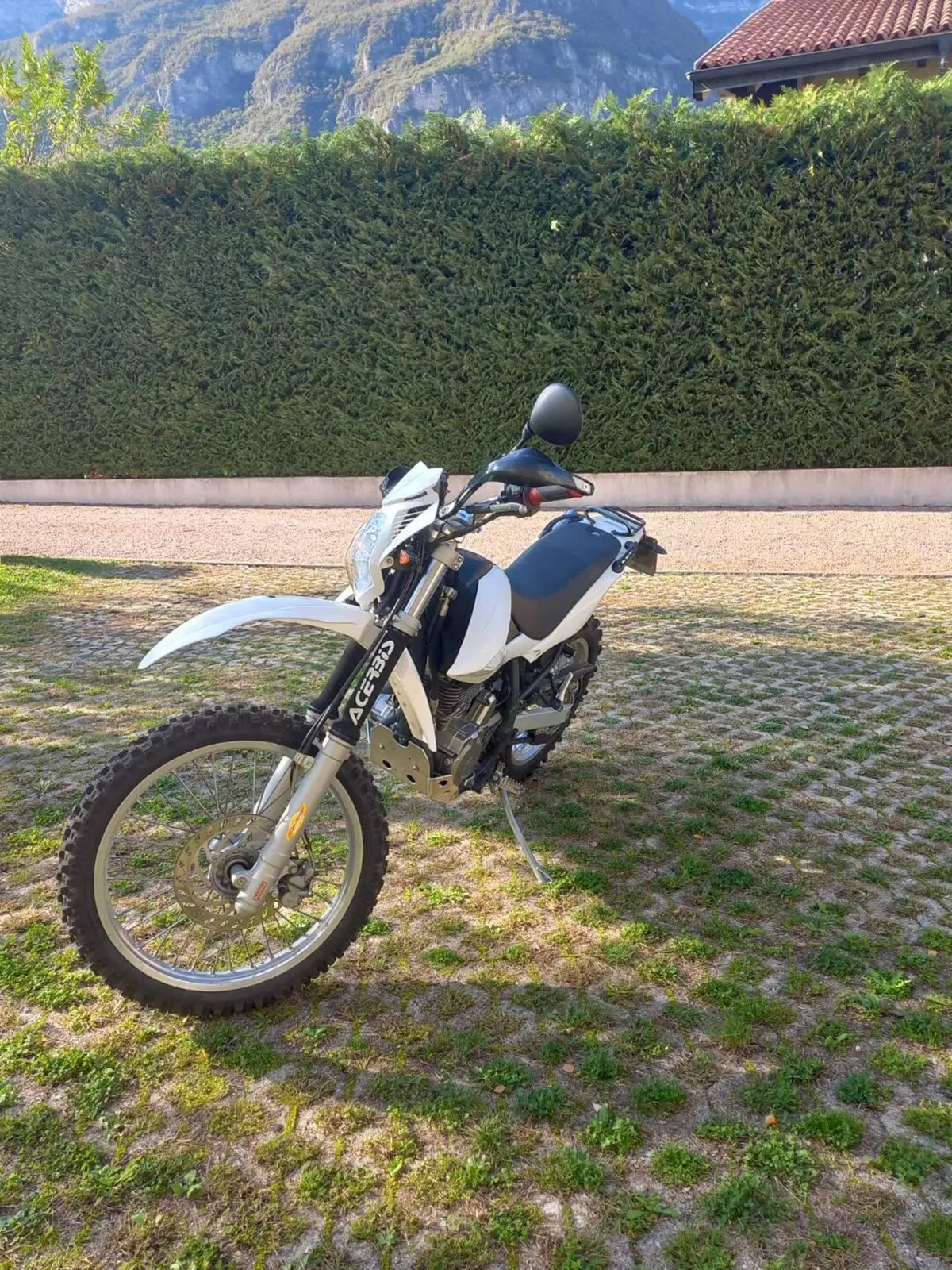 Betamotor Alp 4.0 (2008 - 17) (2)