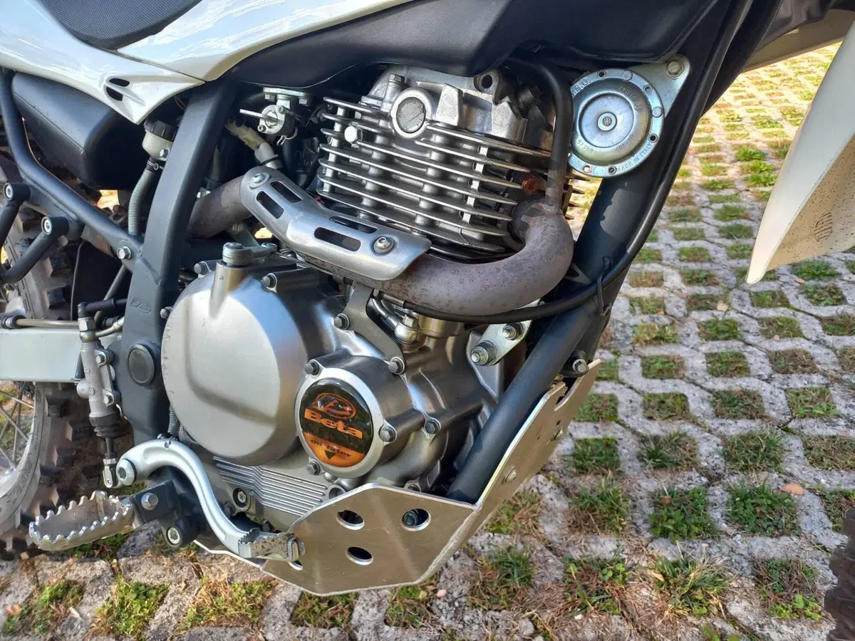 Betamotor Alp 4.0 (2008 - 17) (3)