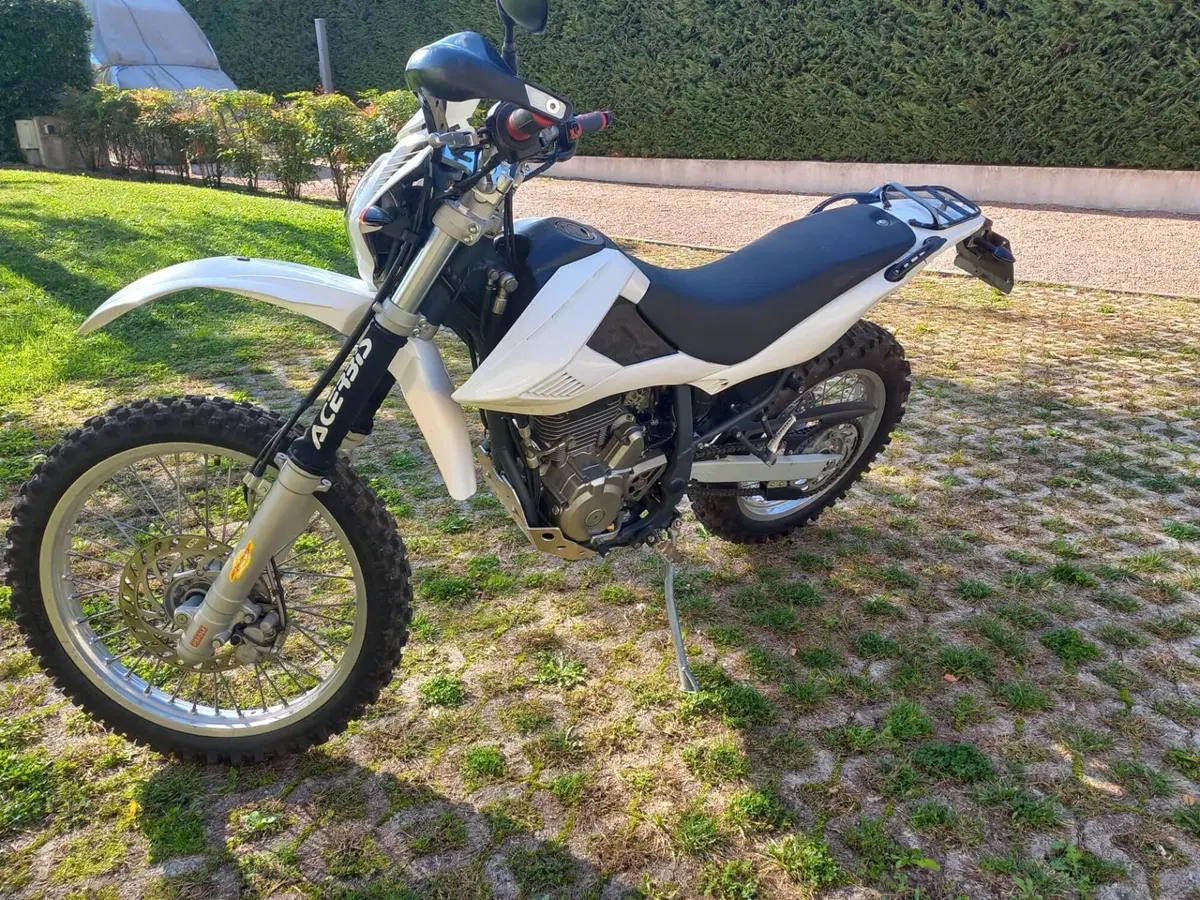 Betamotor Alp 4.0 (2008 - 17) (7)