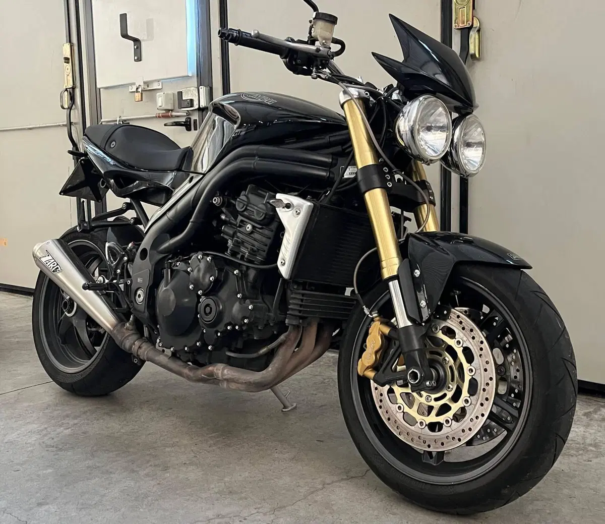 Triumph Speed Triple 1050 (2005 - 11) (2)