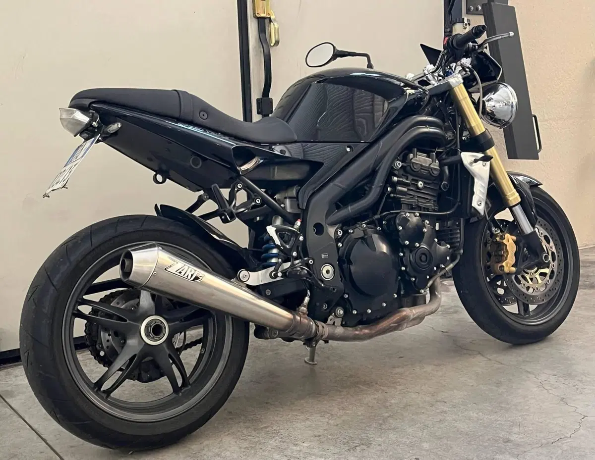 Triumph Speed Triple 1050 (2005 - 11) (3)