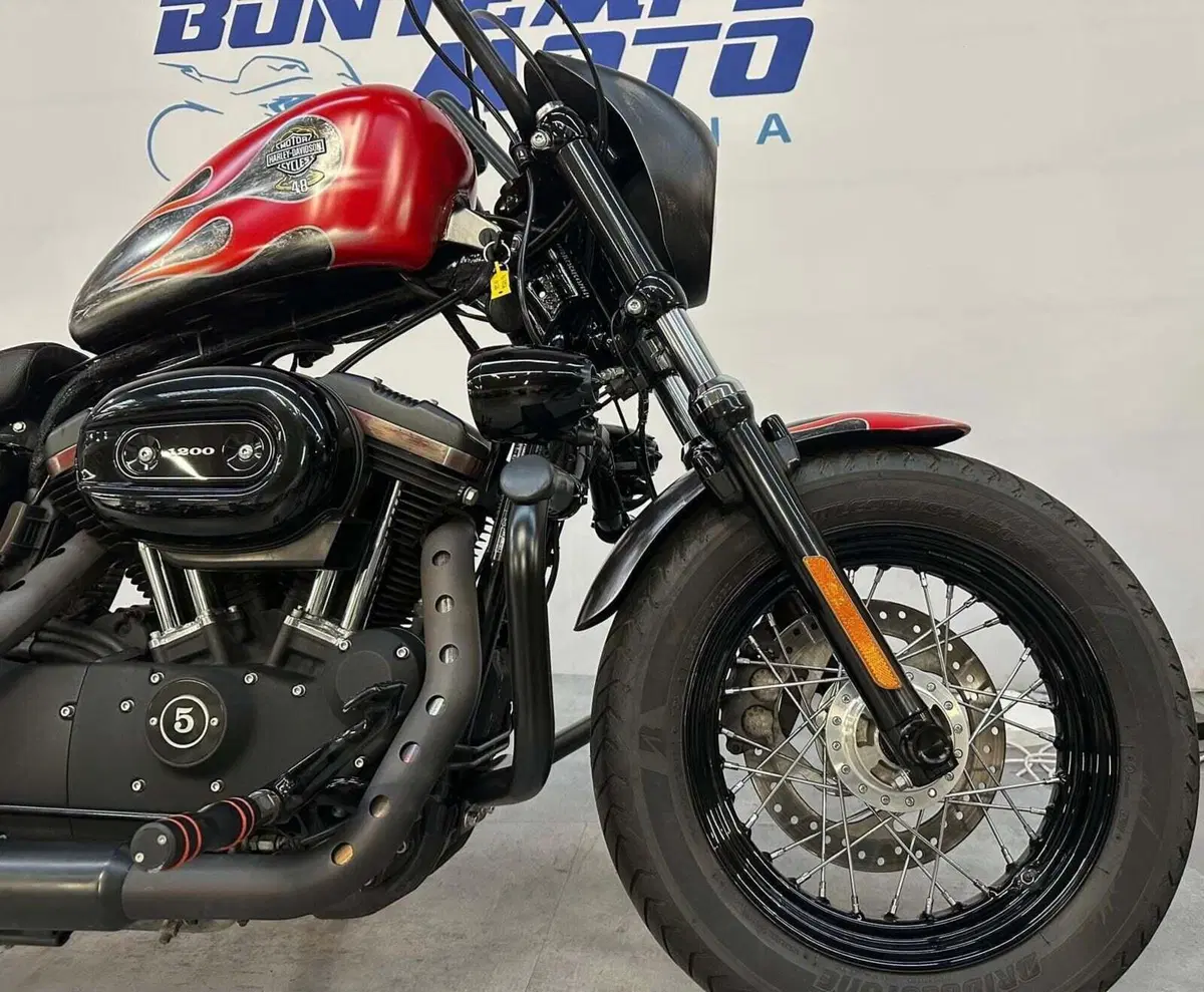 Harley-Davidson 1200 Forty-Eight (2010 - 15) (5)