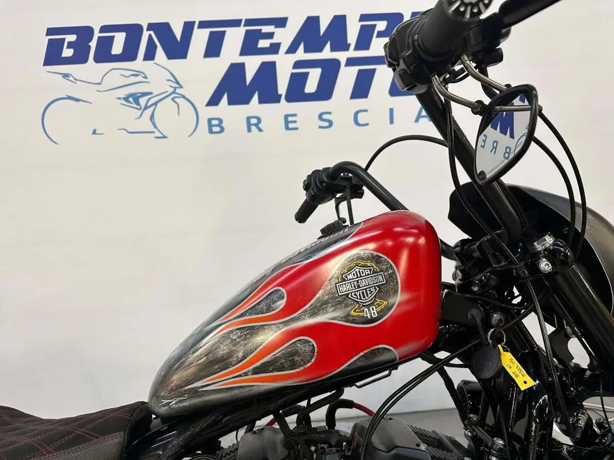 Harley-Davidson 1200 Forty-Eight (2010 - 15) (9)