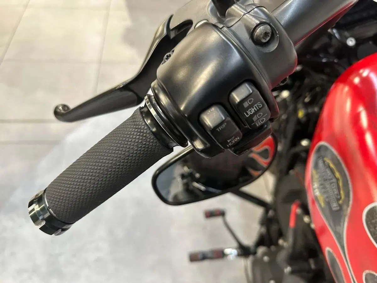 Harley-Davidson 1200 Forty-Eight (2010 - 15) (13)