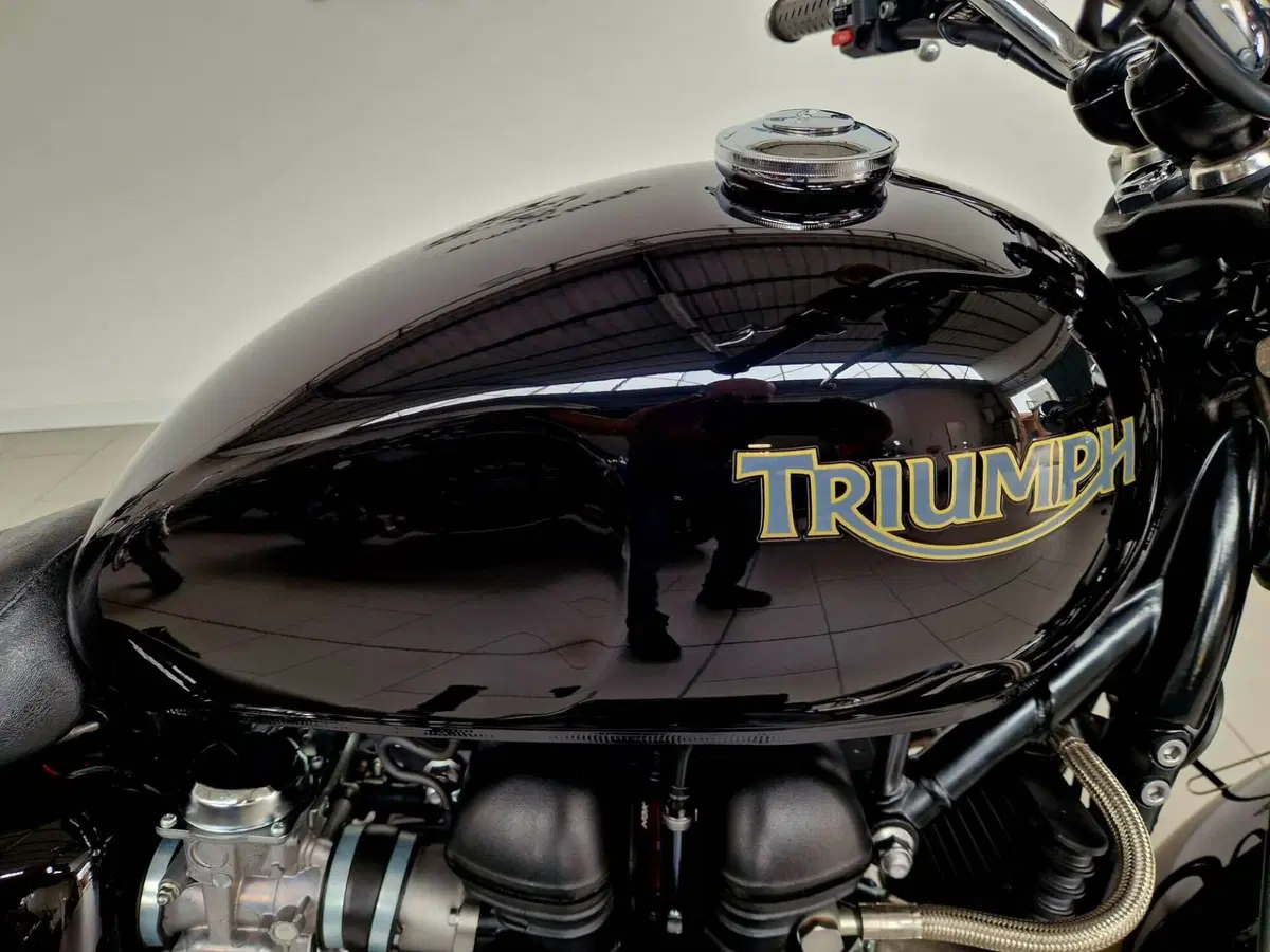 Triumph Bonneville SE (2009 - 13) (3)