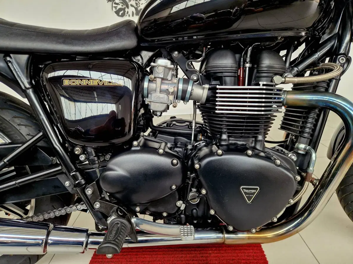 Triumph Bonneville SE (2009 - 13) (4)