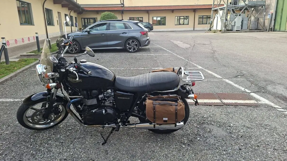 Triumph Bonneville SE (2009 - 13) (2)