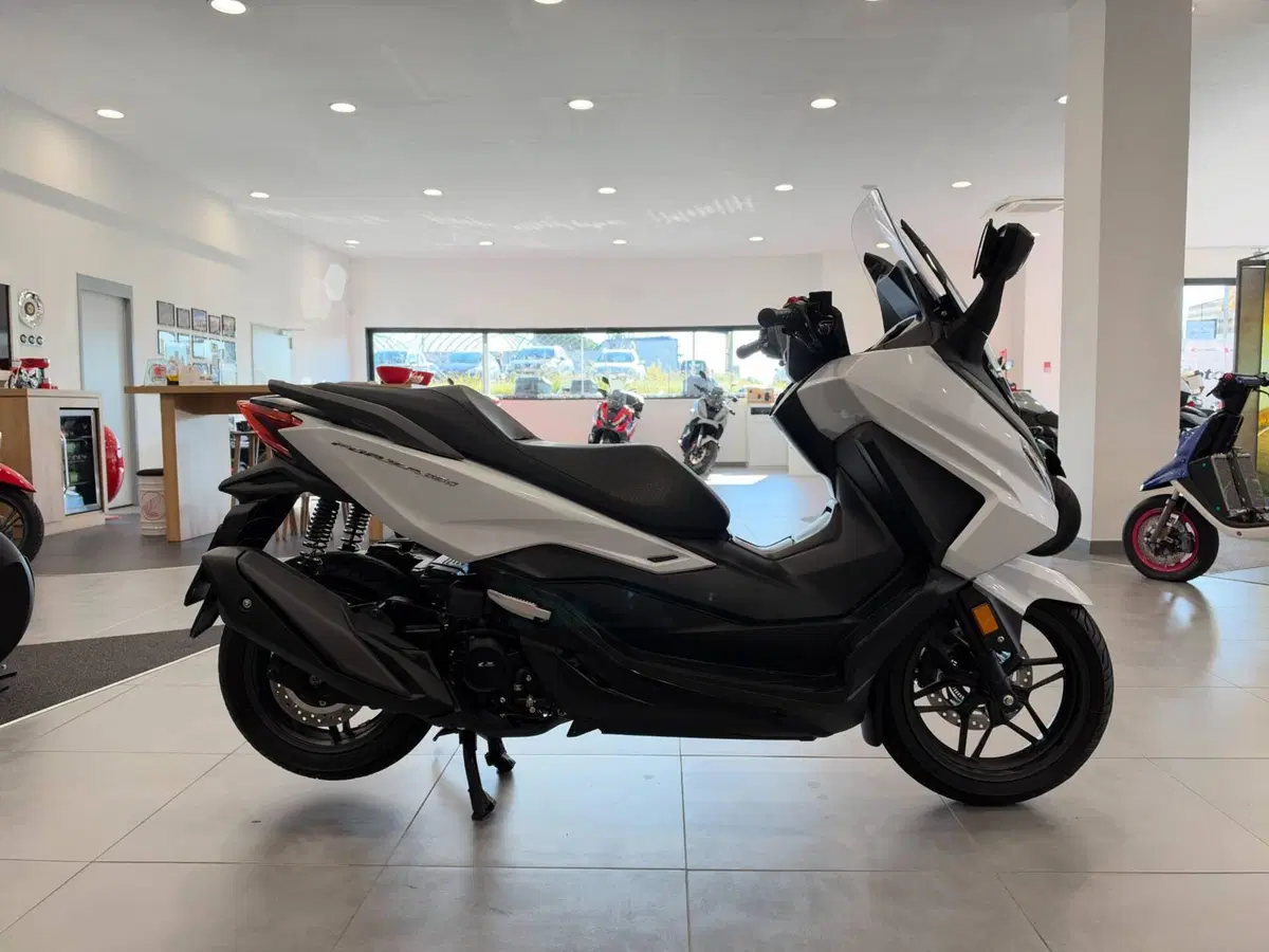 Honda Forza 350 (2025 - 26) (7)