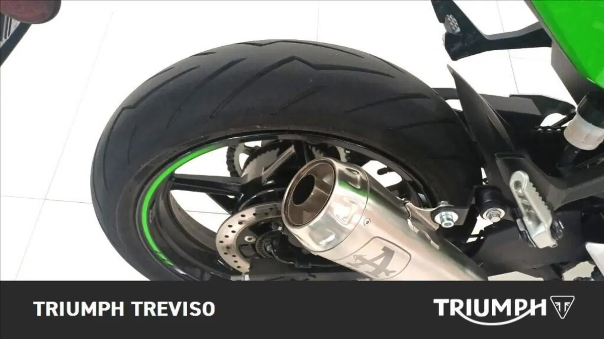 Kawasaki Ninja 500 SE (2024 - 27) (5)