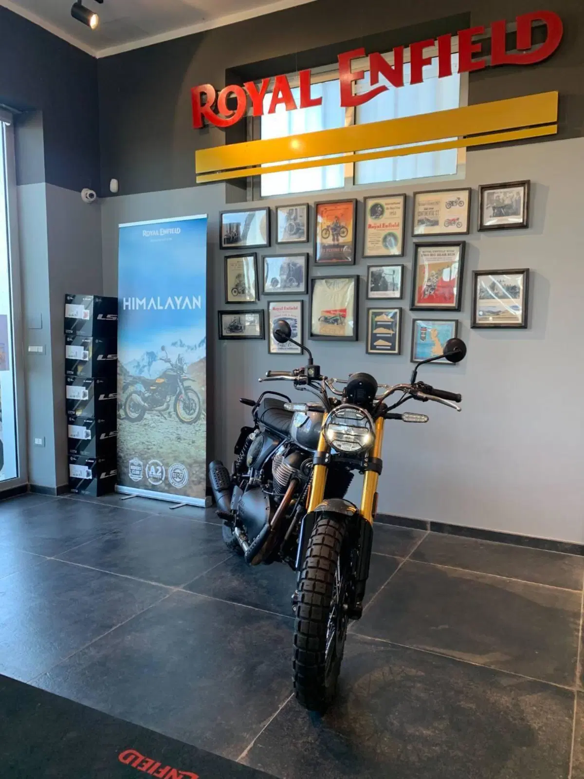 Royal Enfield Bear 650 (2025 - 26) (4)