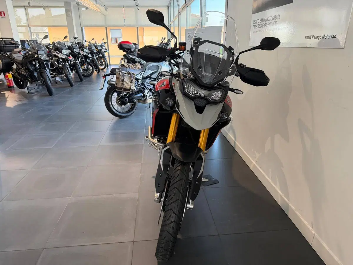 Triumph Tiger 900 Rally Pro (2024 - 26) (5)