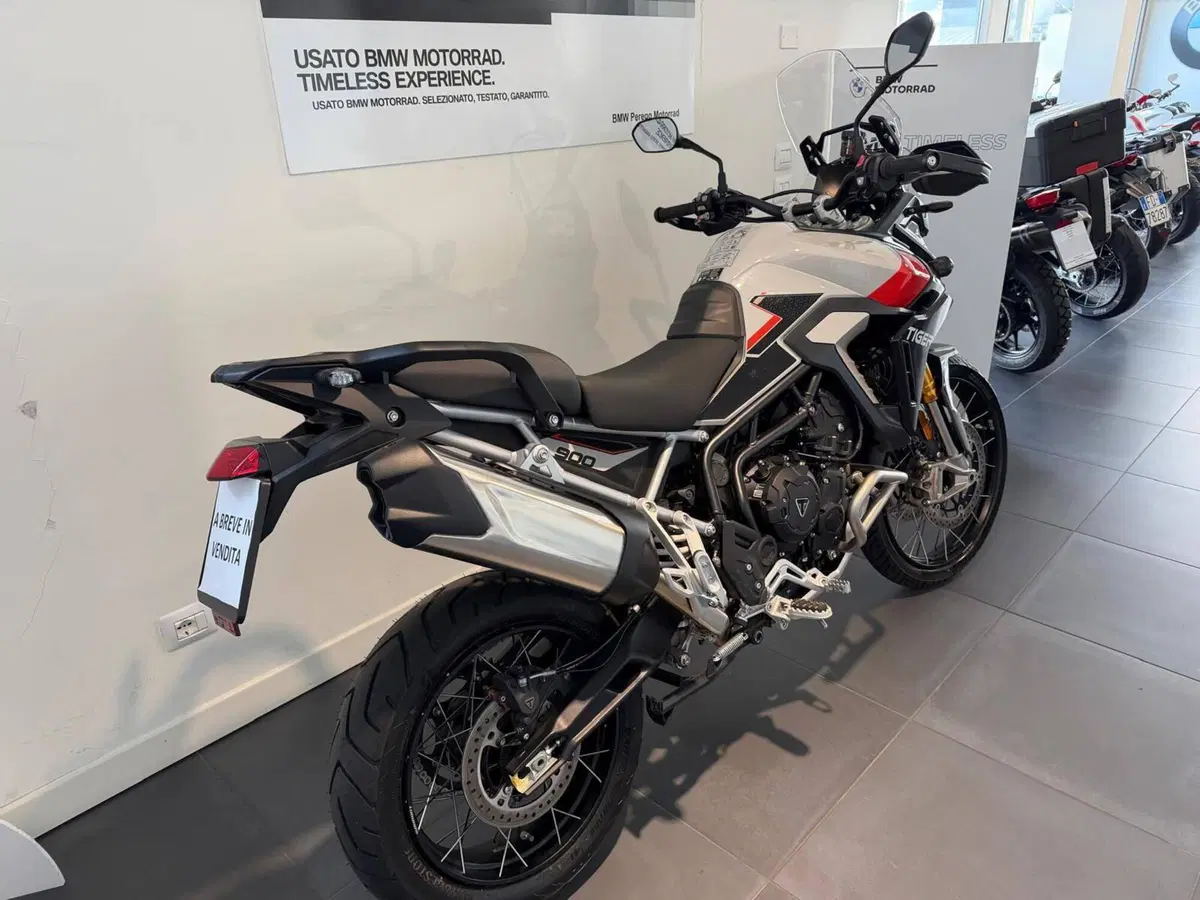 Triumph Tiger 900 Rally Pro (2024 - 26) (6)