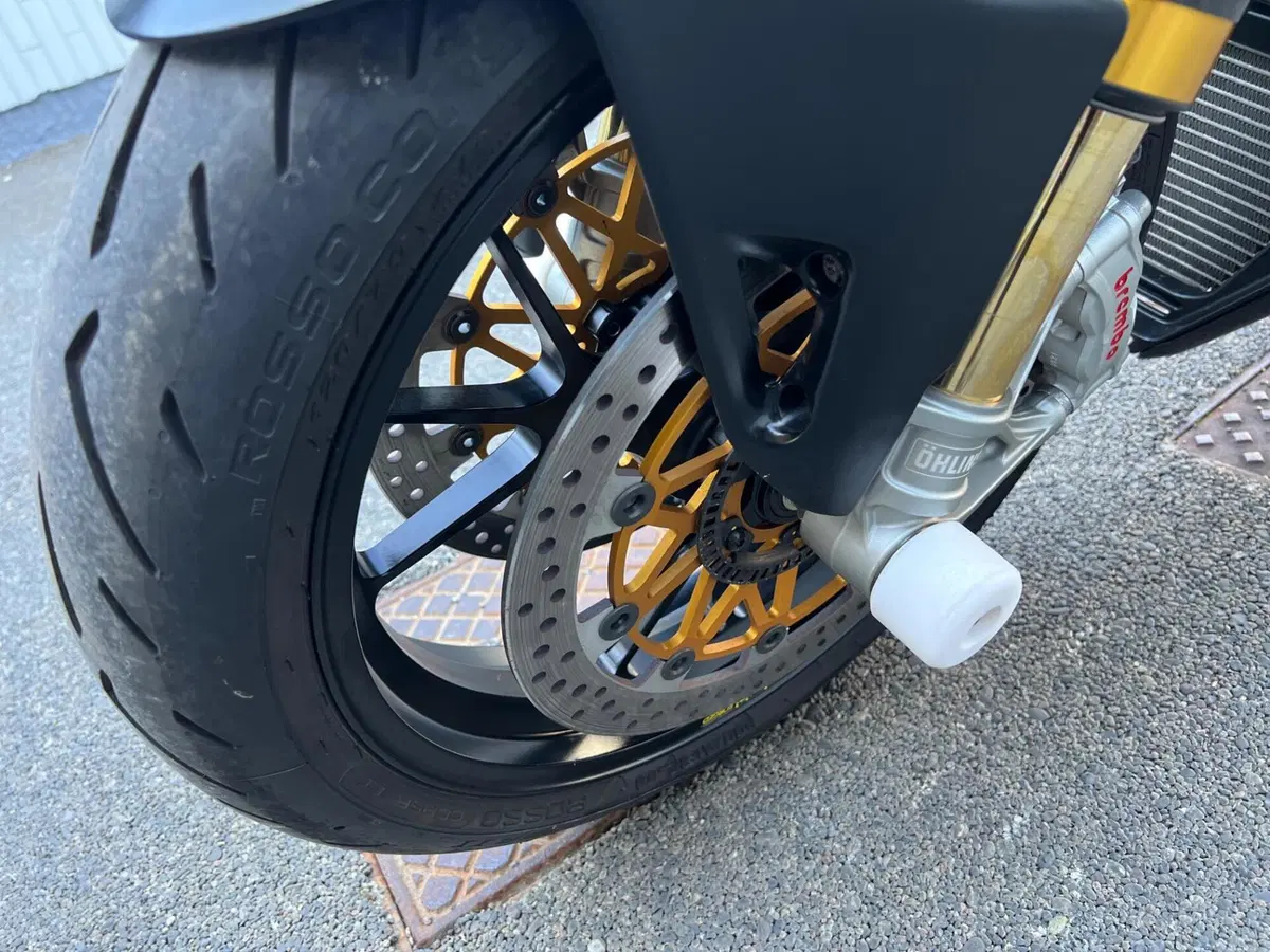 Ducati Streetfighter V4 1100 (2020) (19)
